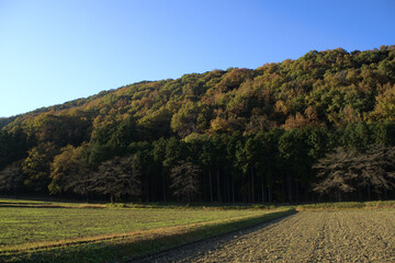 田舎