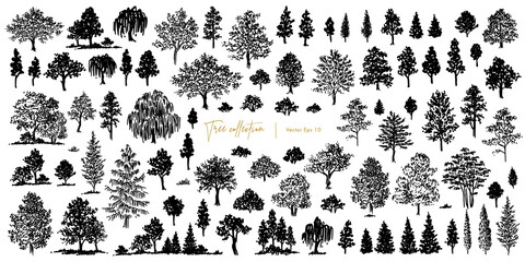 Trees sketch set. Hand drawn graphic forest. Vector illustration of different trees, shrubs and grass isolated on white background
