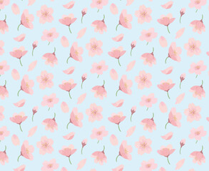 桜　青背景　水彩　手描き
