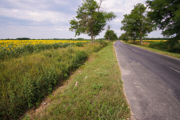 road in the countryside
