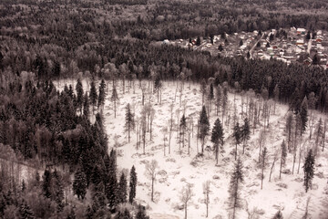 Frozen Pine Forest covered with snow bird's eye view.