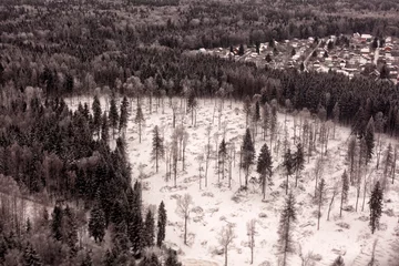 Papier Peint photo Forêt dans le brouillard Frozen Pine Forest covered with snow bird's eye view.