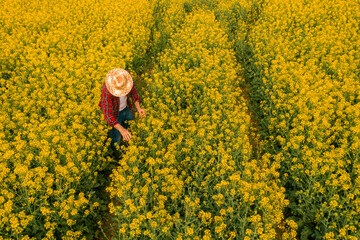 Aerial view of farmer examining blooming rapeseed field