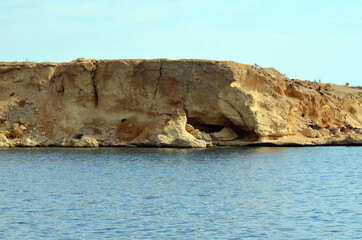 Fototapeta na wymiar Deserted coast of the Sinai Peninsula. Sharm El Sheikh, Egypt