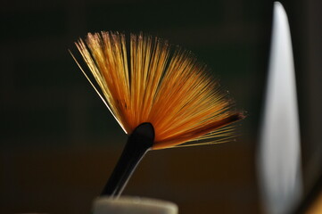 close up of a brush
