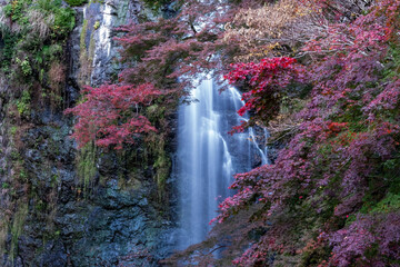 流れる滝と紅葉