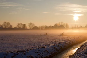 Foto auf Leinwand Weiland met sneeuw en zonsopkomst, Meadow with snow in sunrise © AGAMI