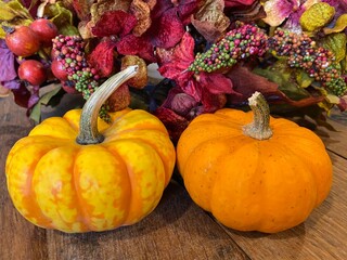 Miniature Thanksgiving Pumpkins