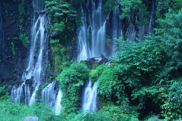 Obraz premium waterfall in the forest