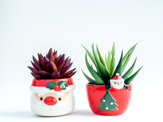 Cute santa claus plant pot for Christmas concept isolated on white background.