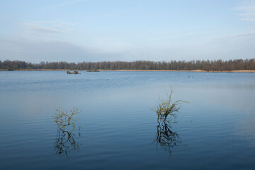 Fototapeta premium De Lepelaarsplassen