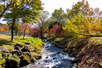 紅葉の中を流れる小川