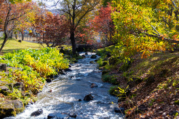 紅葉の中を流れる小川