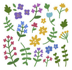 set of flowers, vector, hand drawn elements.