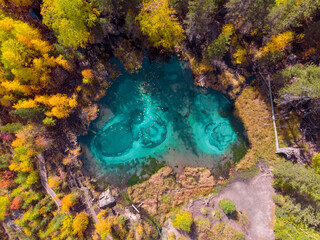 Dron view of on a magnificent deep-sea picturesque emerald lake in the shape of a heart, located next to a dense forest filled with various tall trees