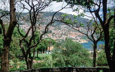 Funchal, city view with port, Madeira