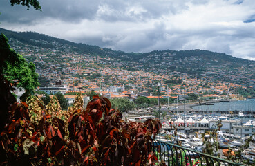 Funchal, city view with port, Madeira