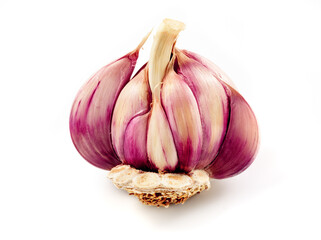 spanish purple garlic isolated