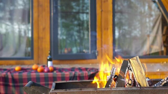 Fire grill for outdoor picnic cooking