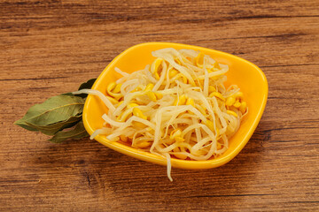 Soy sprout heap in the bowl