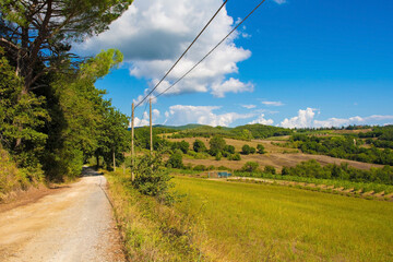 Fototapeta na wymiar The green landscape around the historic village of Murlo, Siena Province, Tuscany, Italy 