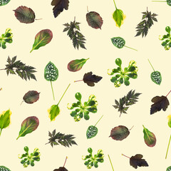 Green leaves natural pattern seamless. Realistic Leaves from garden decorative plants on color background in trendy pastel Colors perfect for interior, furniture