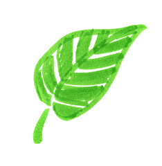 Felt pen illustration of green leaf