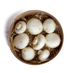 white champignons in a wooden basket on a white background, isolated, top view