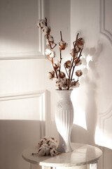 White dry cotton branches bouquet in white vase on white wall background. Interior decoration