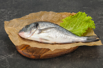 Raw Dorada fish  for cooking