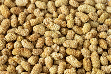 dried mulberry on wooden background close up