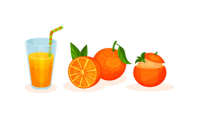 Orange Fruity Desserts with Ice Cream and Fresh Juice in Glass with Straw Vector Set