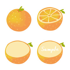 オレンジの手描きイラストセット（全体、断面、フレーム版）