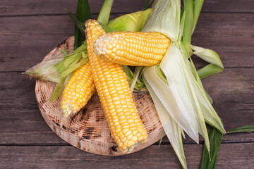 Natural cob of corn in husks on a wooden background. The concept of natural vegetables grown in their own garden