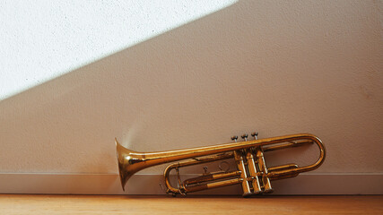 Side view of a gold trumpet instrument on a white wall background 