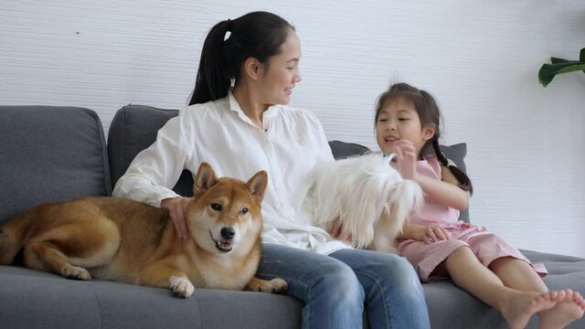 Middle-aged, long hair Asian mother sitting on sofa with her daughter and two dogs, talking and smiling, and patting dogs.