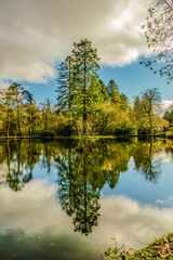 Reflection of a winters day!