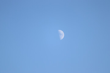 
appear in the sky in daytime moon, half moon