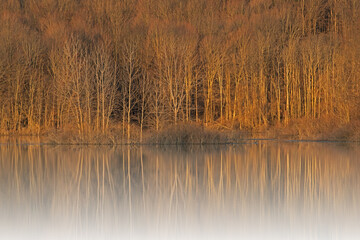 Spring landscape of the shoreline of Twin Lakes with mirrored reflections in calm water, Michigan, USA