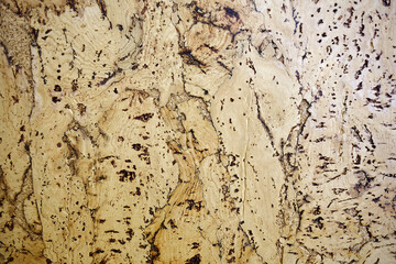 The texture of a cork tree. Empty yellow surface with cracks. Abstract background close-up.