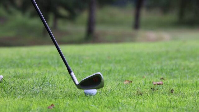 lesson A golfer was preparing to hit with a putter on the green ground