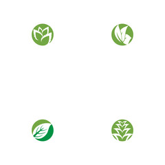 Set Leaf  ecology Logo Template vector