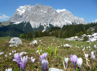 Mountain panorama of Zugspitze mountain, Tyrol, Austria