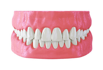 human jaw with straight white teeth, correct bite, 3d render