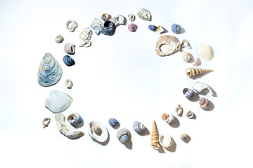 Сircle of small marine colored blue pink purple seashells of different sizes and shapes on white background. Design template