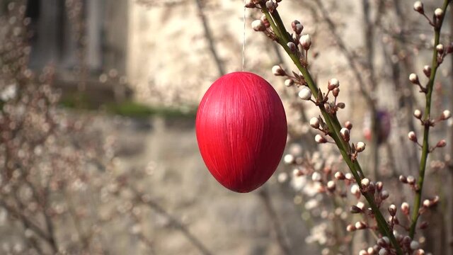 Rotes Osterei h&auml;ngt drau&szlig;en am Zweig eines Strauches mit wei&szlig;en Knospen