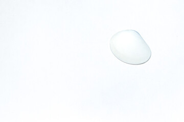 One small smooth marine white light shell, seashell on white background. Design template