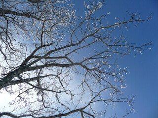 Winter mountain tour to Hornle mountains, Bavaria, Germany