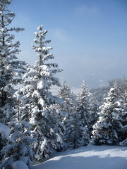 Winter mountain tour to Hornle mountains, Bavaria, Germany