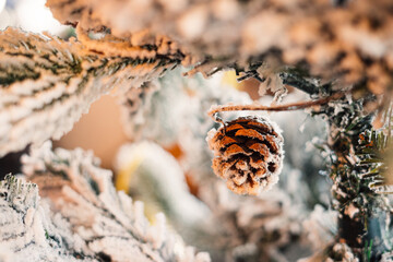 Close Up decorated Christmas trees on blurred background., Merry Christmas and Happy New Year concept.